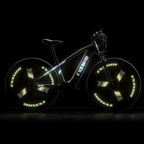 electric bike for adults, electric bikes mountain bike, offroad electric bike, VTT ebike, MTB electric bike for men, women, Removable lithium battery 48V 672Wh