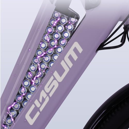 cysum X-City Electric Bike for Adults, 26 Inch City Electric Bike Women Men Lithium Battery 48V 10.4Ah Motor 250W 25km/h Urban Switing