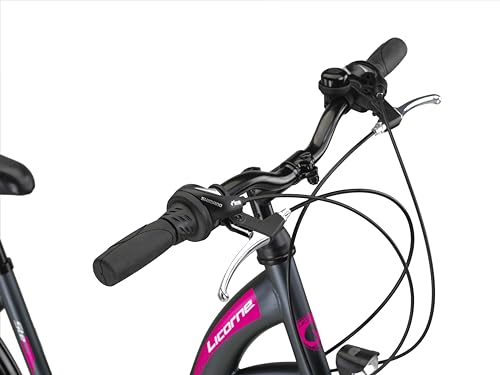 Licorne Bike Stella Premium City Bike Bicycle in 20 24 26 28 Inch Bicycle for Girls Boys Women Men 21 Speed 6 Speed 20 Inch Dutch Bicycle City Bike