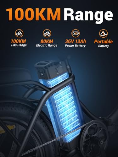 MilePort 1 Electric Bike for Adults, 250W Foldable Electric Bike with Detachable 36V 13AH Battery and Speed 25KM/H Range Up to 100KM, 20"*3.0" Thick Tire City Commuter Ebike