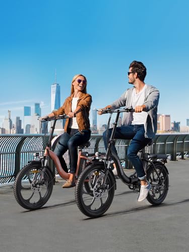 MilePort 1 Electric Bike for Adults, 250W Foldable Electric Bike with Detachable 36V 13AH Battery and Speed 25KM/H Range Up to 100KM, 20"*3.0" Thick Tire City Commuter Ebike