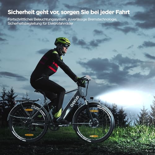 27M204 E-Bike, City Bike, Electric Bicycle, 36 V/12 Ah Battery, 250 W Motor, Range 100 to 25 km/h, Electric Bike with App