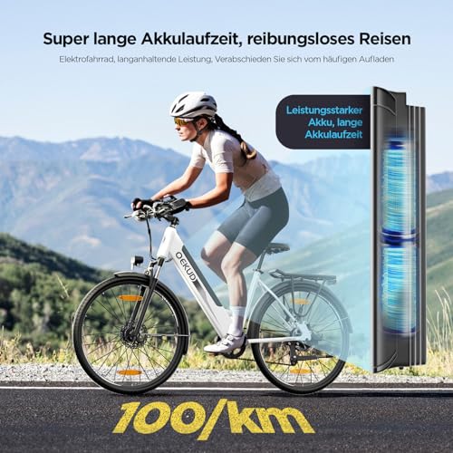 27M204 E-Bike, City Bike, Electric Bicycle, 36 V/12 Ah Battery, 250 W Motor, Range 100 to 25 km/h, Electric Bike with App