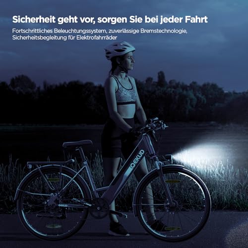 27M204 E-Bike, City Bike, Electric Bicycle, 36 V/12 Ah Battery, 250 W Motor, Range 100 to 25 km/h, Electric Bike with App