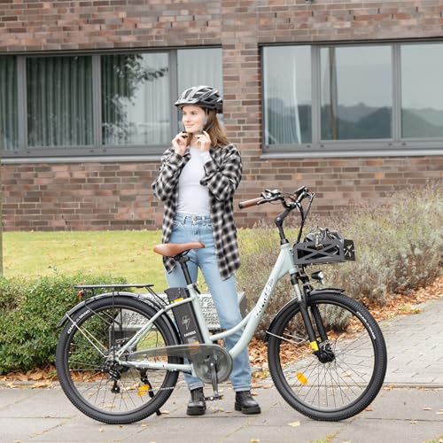 Fafrees F26 Lasting Electric Bike 26 Inch Electric Bike with 250 W 20.3 Ah Electric Bike for Adults Range 160 km