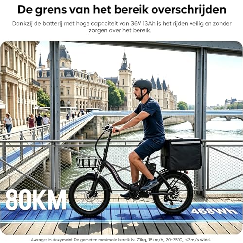 Electric Bike For Adults, 250W Folding Electric Bike With Detachable 36V 13AH Battery And Speed 25KM/H Range Up To 80KM, 20"*3.0" Thick Tire City Commuter Ebike