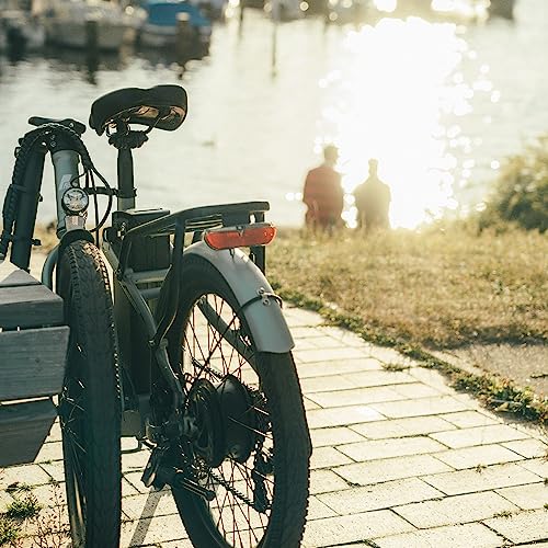 Electric Bike Fafrees F20 Light, 20" Folding Electric City Bike for Women Men, 250W Motor, 36V/16.75Ah Battery, E-Bike 7 Gears, 120km Range, Grün