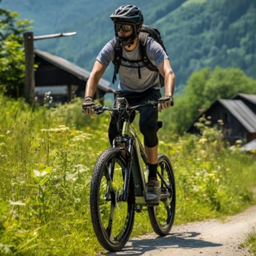 electric bike for adults, electric bikes mountain bike, offroad electric bike, VTT ebike, MTB electric bike for men, women, Removable lithium battery 48V 672Wh