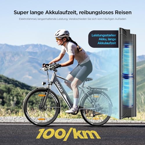 27M204 E-Bike, City Bike, Electric Bicycle, 36 V/12 Ah Battery, 250 W Motor, Range 100 to 25 km/h, Electric Bike with App