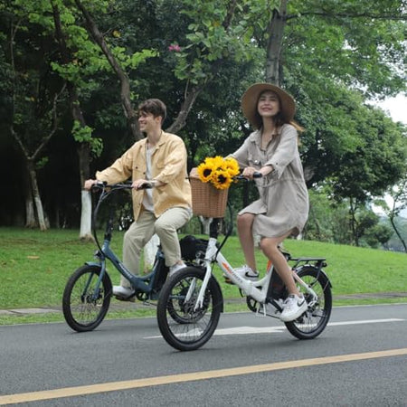 Fafrees F20 Light Folding Electric Bike, 20 Inches, 36 V, 14.5 Ah City Bike, Women's 250 W, 25 km/h, E-Bike Folding Bike, 55-110 km Range