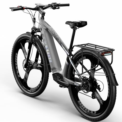 Cysum Speedy Electric Bike, 29'' E-Mountain Bike for Adult Man Woman, E-Bike with 48v 672Wh Lithoum Battery Range 100-120Km,75Nm,Hydraulic Brake,7 Speeds,E-MTB