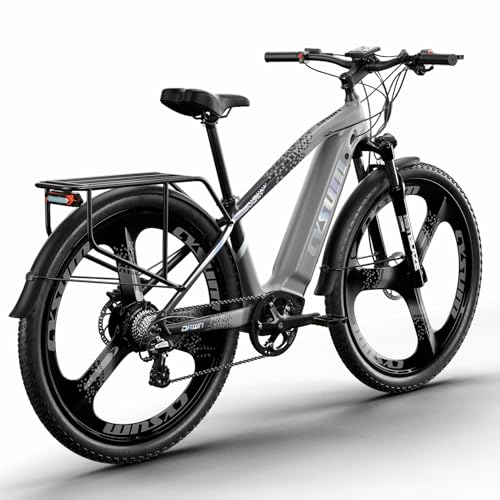 Cysum Speedy Electric Bike, 29'' E-Mountain Bike for Adult Man Woman, E-Bike with 48v 672Wh Lithoum Battery Range 100-120Km,75Nm,Hydraulic Brake,7 Speeds,E-MTB