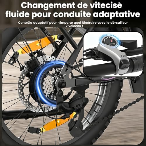 Electric Bike For Adults, 250W Folding Electric Bike With Detachable 36V 13AH Battery And Speed 25KM/H Range Up To 80KM, 20"*3.0" Thick Tire City Commuter Ebike