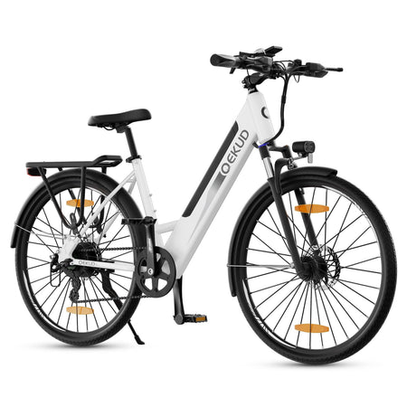 27M204 E-Bike, City Bike, Electric Bicycle, 36 V/12 Ah Battery, 250 W Motor, Range 100 to 25 km/h, Electric Bike with App